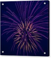 Fireworks Display Acrylic Print