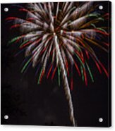 Fireworks Flower Acrylic Print