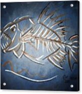 Fish Head Acrylic Print