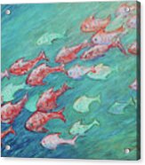 Fish In Abundance Acrylic Print