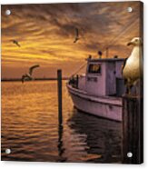 Fishing Boat And Gulls At Sunrise Acrylic Print