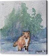 Fox In Snow Acrylic Print
