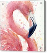 Flamingo - Facing Right Acrylic Print
