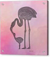 Flamingo6 Acrylic Print