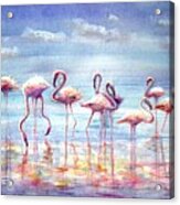 Flamingo's Paradise Acrylic Print