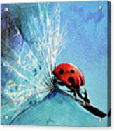 Flirt - Ladybug On Dandelion Seed Painting By Soos Roxana Gabriela Art Print Acrylic Print