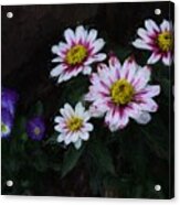 Floral Acrylic Print