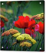 Cottage Garden Acrylic Print