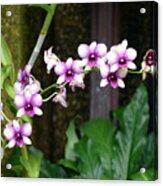 Floral Sway Acrylic Print