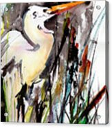 Florida Birds Great White Egret Acrylic Print