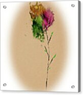 Flower 3 Acrylic Print