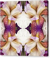Flower Mandala - 0354d Acrylic Print
