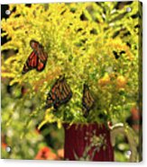 Flowers And Butterfies In Red Vase Photo Acrylic Print