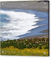 Flowers By The Sea Acrylic Print