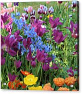 Flowers Mix From Descanso Garden Acrylic Print