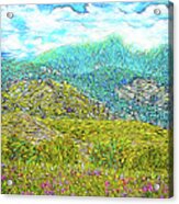 Flowing Mountains - Meadow In Boulder County Colorado Acrylic Print