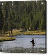 Fly Fishing In The Firehole River Yellowstone Acrylic Print
