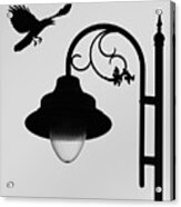 Flying Crow Vs Street Lamp Acrylic Print