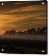Fog And Frost Acrylic Print