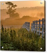 Foggy Fence Acrylic Print