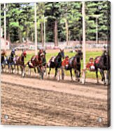 Follow The Leader Acrylic Print