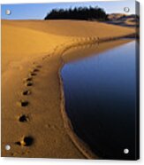 Footprints In The Sand Acrylic Print