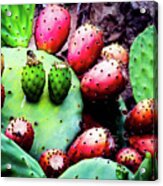 Forbidden Fruit Acrylic Print