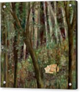 Forest Cat Acrylic Print