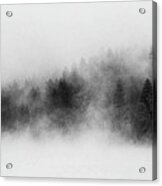 Forest Fog Acrylic Print