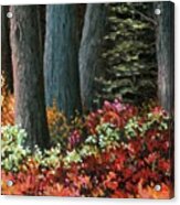 Forest Foliage Acrylic Print