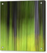 Forest Illusions- Emerald Spring Acrylic Print