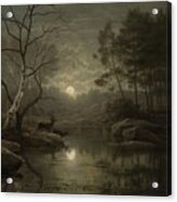 Forest Landscape In The Moonlight Acrylic Print