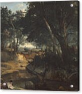 Forest Of Fontainebleau Acrylic Print