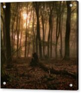 Forest Of The Dancing Trees Acrylic Print