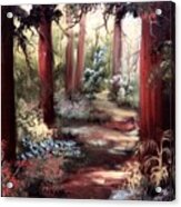 Forest Path Acrylic Print