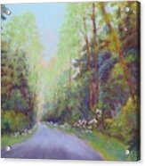Forest Road Acrylic Print