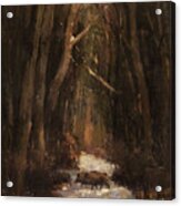 Forest Road With Wild Boars Acrylic Print