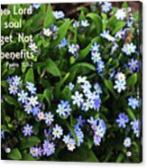 Forget Not All His Benefits Acrylic Print