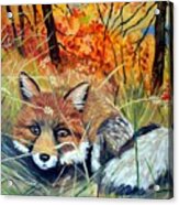Fox-   Fox In Hiding Acrylic Print
