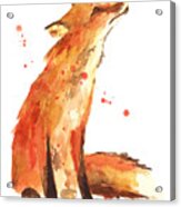Fox Painting - Print From Original Acrylic Print
