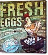 Fresh Eggs Acrylic Print