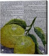 Freshest Lemons Acrylic Print