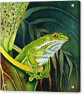 Frog In Pitcher Plant Acrylic Print