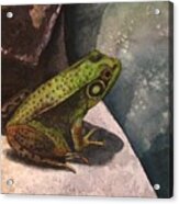Frog Acrylic Print