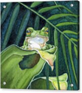 Frog The Pose Acrylic Print