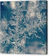#frost #cold #winter #makeitstop Acrylic Print