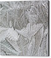 Frost Flower Acrylic Print
