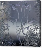 Frost Series 8 Acrylic Print