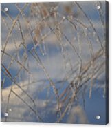 Frosted Lines Acrylic Print