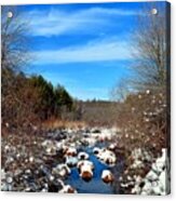 Frosted River Grass Acrylic Print